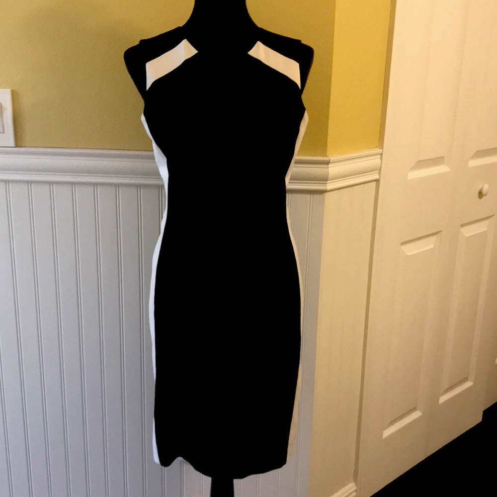 Beautiful and Fitted black and white dress